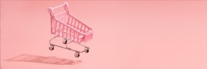 Image de panier vide